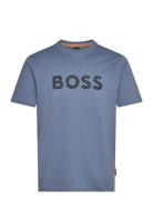 Te_Logotexture BOSS Blue