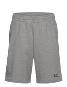 Shorts EA7 Grey