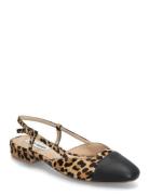 Belinda-L Ballerina Steve Madden Black