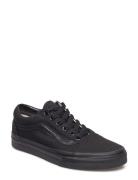 Ua Old Skool VANS Black