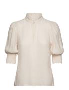 Feline Top Dante6 Cream