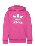 Trefoil Hoodie Adidas Originals Pink