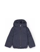 Harpo Molo Navy