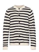 Striped Cardigan FUB Navy