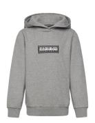 Chamois Hoodie Napapijri Grey