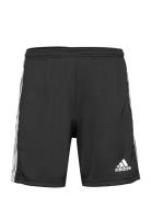 Squadra 21 Short Adidas Performance Black