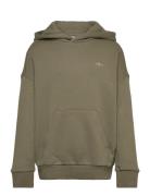 Hoodie Adidas Originals Khaki