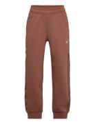 Sweatpants Adidas Originals Brown