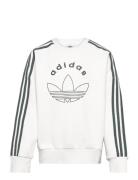 Crew Adidas Originals White