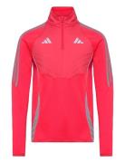 Tiro24 Wintop Adidas Performance Red