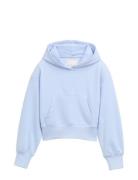 Hoody Tom Tailor Blue