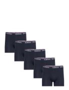 Thomas Vin M Tights 5-Pack VINSON Navy