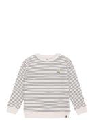 Sweater Stripe Daily 7 Beige