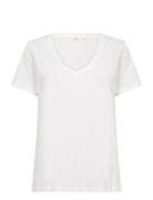 Crnaia Deep V-Neck T-Shirt Cream White