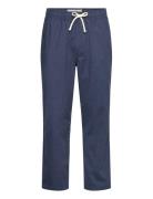 Hco. Guys Pants Hollister Navy