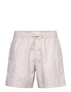 Hco. Guys Shorts Hollister White