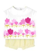 Set Knit Combined Boboli White