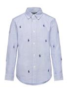 Polo Pony Cotton Oxford Shirt Ralph Lauren Kids Blue