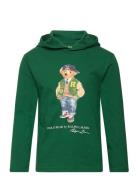 Polo Bear Cotton Jersey Hooded Tee Ralph Lauren Kids Green