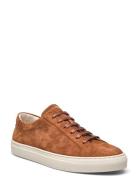 Jermain Suede Sneaker Polo Ralph Lauren Brown