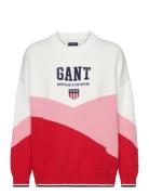 D2. Retro Sheild Knit C-Neck GANT Patterned