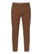 Xx Chino Std Ii Browns Levi's® Brown