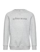 Borg Essential 3 Sweatshirt Björn Borg Grey