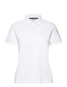 Club Polo Calvin Klein Golf White
