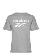 Reebok Identity Big Logo Tee Reebok Performance Grey