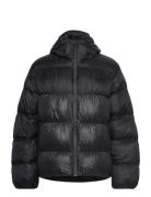 Adidas Originals Adicolor Down Regen Adidas Originals Black