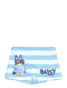 Swimsuit Bluey Blue