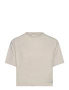 Collective Relaxed Ss Tee W Craft Cream
