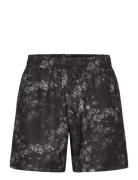 Motion 5.5 Inch Shorts 2XU Black