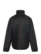 K A-Amiata Napapijri Black