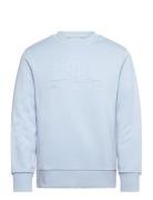 Reg Tonal Shield C-Neck Sweat GANT Blue