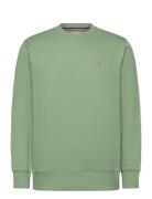 Reg Shield Cneck Sweat GANT Green