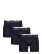 3P Boxer Brief Dtm Tommy Hilfiger Navy