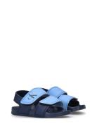 Kids Velcro Sandals Calvin Klein Blue