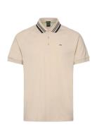 Paddy Rib BOSS Beige