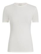 Modal Rib Slim Ss Top Calvin Klein Cream
