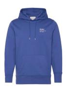 Small Graphic Sweat Hoodie GANT Blue