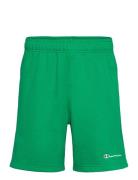 Bermuda Champion Green