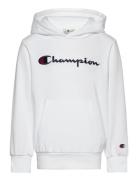 Hooded Sweatshirt Champion White