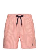 Mcs Swimshorts Irving Men MCS 