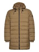 Marogan Nl Matinique Brown