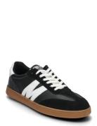 Caelum Sneaker Steve Madden Black