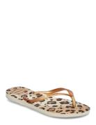Slim Animal Havaianas Beige
