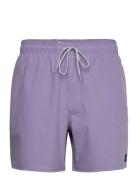 Daily Volley Rip Curl Purple