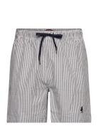 Mcs Swimshorts Irving Men MCS Black