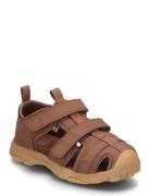 Sandal Velcro Infant Hummel Brown
